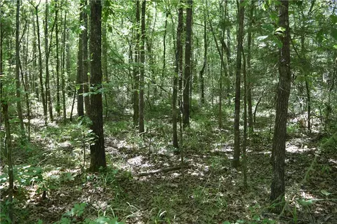 tbd Maple Rd, Waldron, AR 72958 photo 7