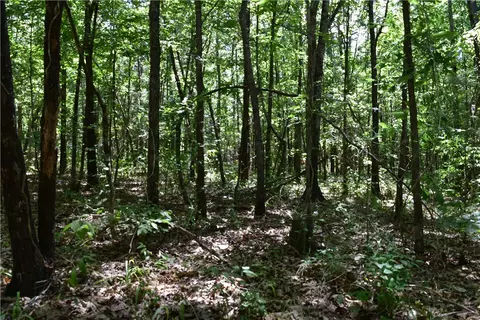 tbd Maple Rd, Waldron, AR 72958 photo 4