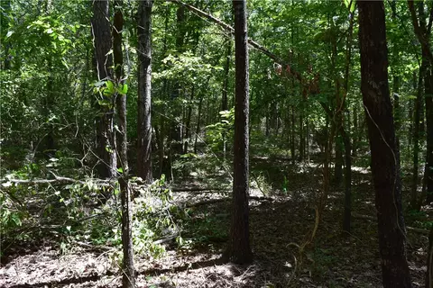 tbd Maple Rd, Waldron, AR 72958 photo 5