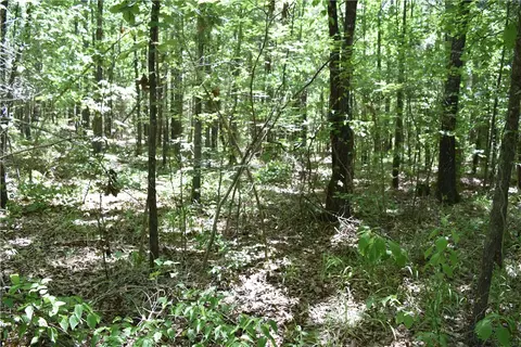 tbd Maple Rd, Waldron, AR 72958 photo 6