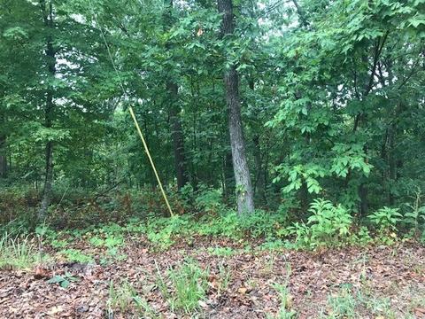 Halford Lane, Bella Vista, AR 72715