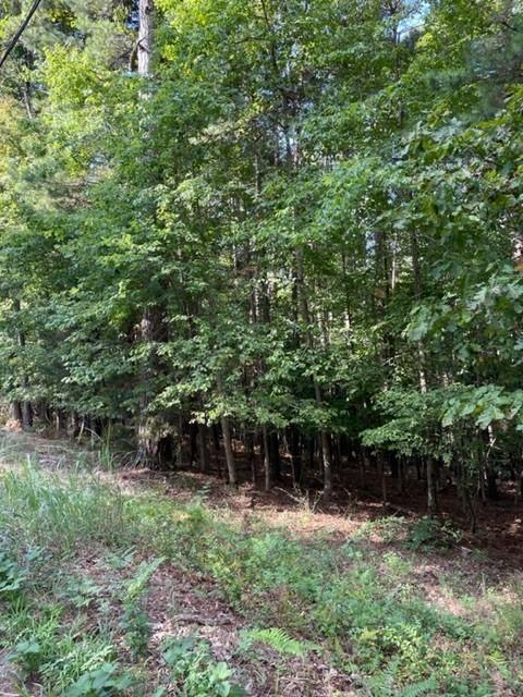 Lot 959 Spruce Drive, Rogers, AR 72756