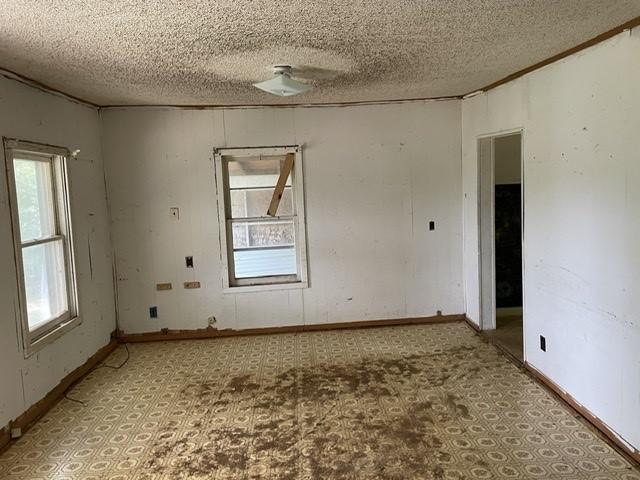  207 Park St, Lincoln, AR 72744 photo 3