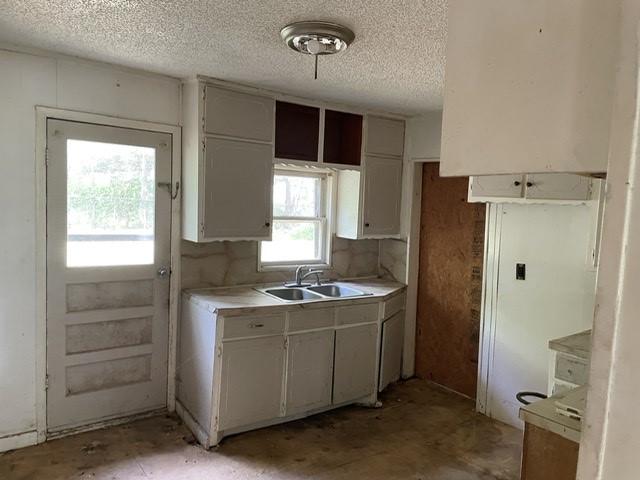  207 Park St, Lincoln, AR 72744 photo 2