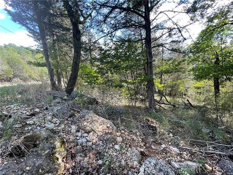103 Appaloosa Dr, Holiday Island, AR 72631