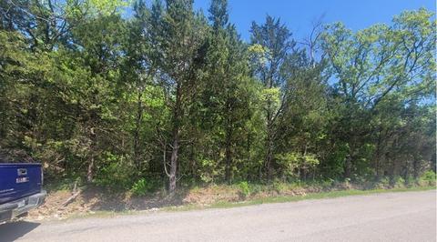 Lot 77 Gap Road, Hackett, AR 72937 photo 2