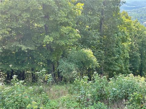 267 Holiday Island Dr, Holiday Island, AR 72631