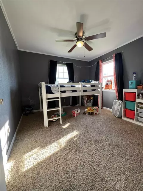 213 Arnhart St, Ash Flat, AR 72513 photo 18