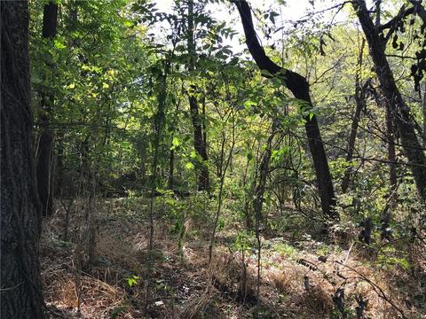 Tbd Flickinger Street, Sulphur Springs, AR 72768