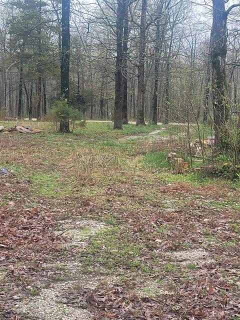 Tbd Misenheimer Road, Mountain View, AR 72560