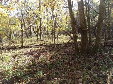 Esculapia Hollow Road, Rogers, AR 72758