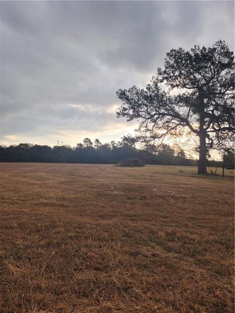 2 State Highway 59, Summers, AR 72769 photo 2