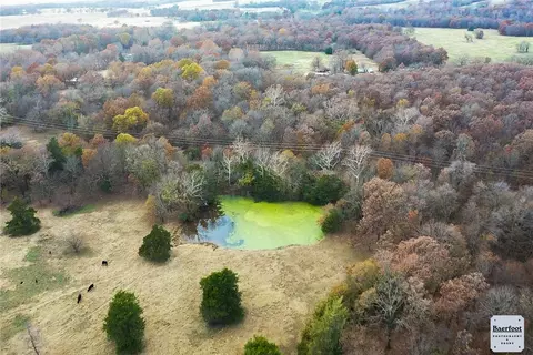 Tbd Brush Wc 802, Summers, AR 72769 photo 6