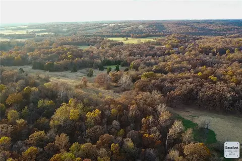 Tbd Brush Wc 802, Summers, AR 72769