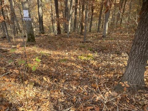 Tor Lane, Bella Vista, AR 72714