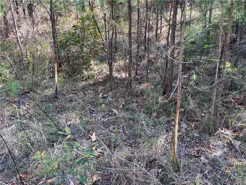 21654 Bug Scuffle Rd, West Fork, AR 72774 photo 5