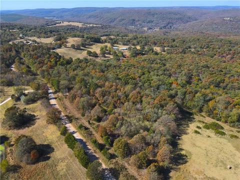 21654 Bug Scuffle Rd, West Fork, AR 72774 photo 1