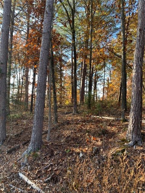 22 Bosworth Circle, Bella Vista, AR 72714