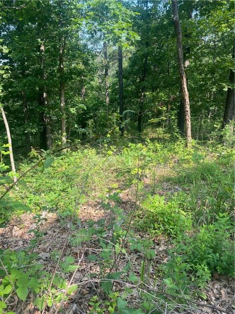 21 Pylle Lane, Bella Vista, AR 72715