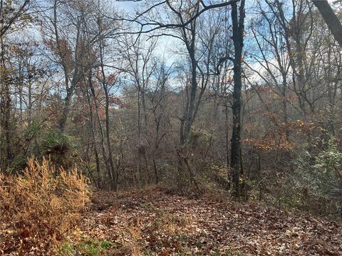 Black Jack Lane, Watts, OK 74964
