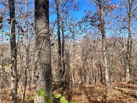 Dunholme Drive, Bella Vista, AR 72714