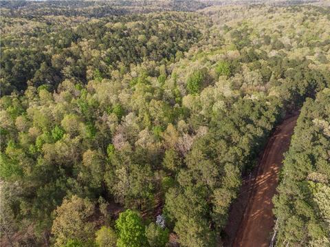 21288 Devils Gap Rd, Rogers, AR 72756 photo 2