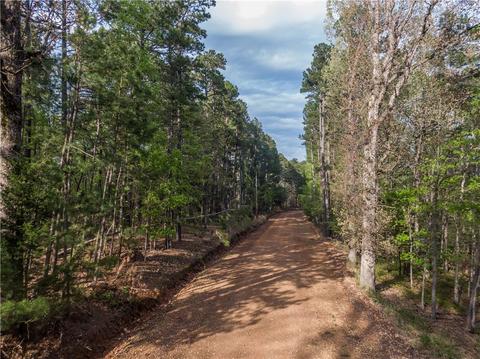 21288 Devils Gap Rd, Rogers, AR 72756