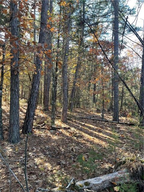 9 90 Acres Cr 250, Eureka Springs, AR 72632