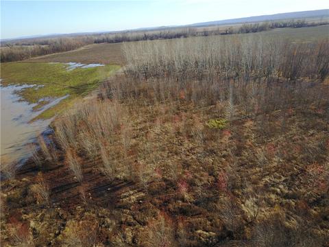 Tbd Lamb Road, Dyer, AR 72921 photo 15