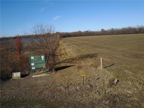 Tbd Lamb Road, Dyer, AR 72921 photo 12
