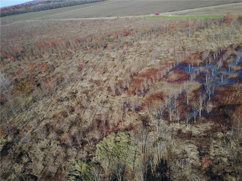 Tbd Lamb Road, Dyer, AR 72921 photo 18