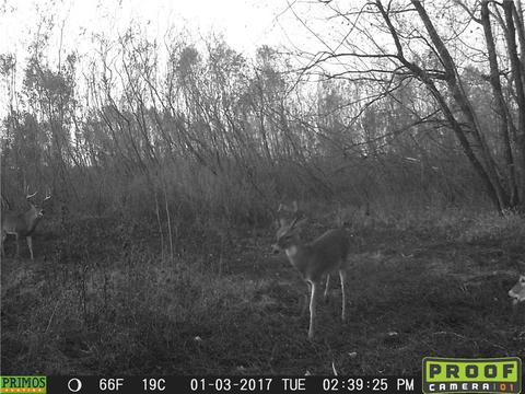 Tbd Lamb Road, Dyer, AR 72921 photo 20