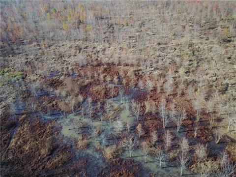 Tbd Lamb Road, Dyer, AR 72921 photo 19