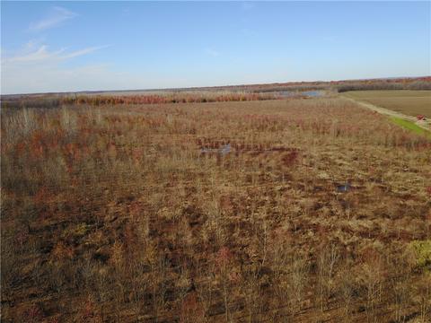 Tbd Lamb Road, Dyer, AR 72921 photo 17