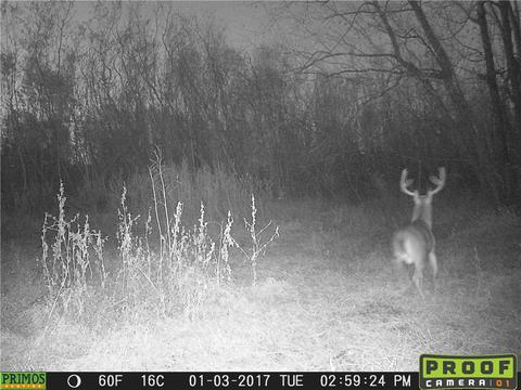 Tbd Lamb Road, Dyer, AR 72921 photo 21