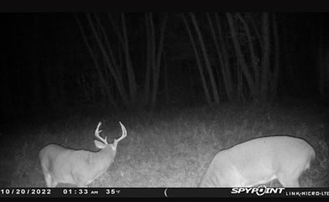 Tbd Lamb Road, Dyer, AR 72921 photo 22