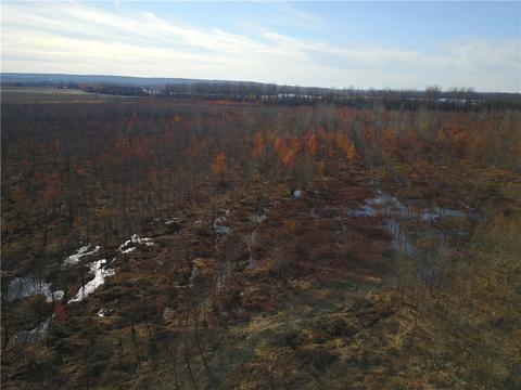 Tbd Lamb Road, Dyer, AR 72921 photo 14
