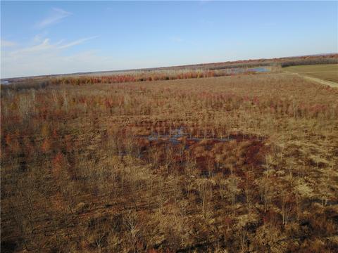 Tbd Lamb Road, Dyer, AR 72921 photo 16