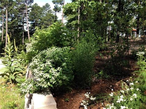 8 Corley Loop, Eureka Springs, AR 72632 photo 7