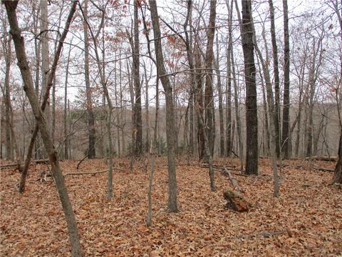 2650 Sequoyah Dr, Rogers, AR 72758 photo 4
