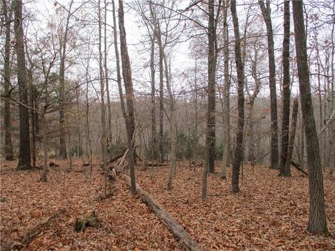 2650 Sequoyah Dr, Rogers, AR 72758 photo 5