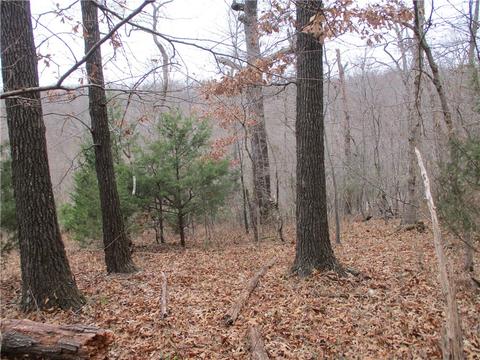 2650 Sequoyah Dr, Rogers, AR 72758 photo 7
