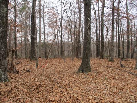 2650 Sequoyah Dr, Rogers, AR 72758 photo 3