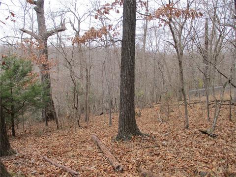2650 Sequoyah Dr, Rogers, AR 72758 photo 8
