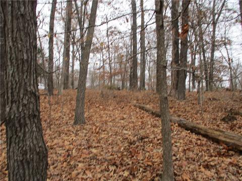 2650 Sequoyah Dr, Rogers, AR 72758 photo 6