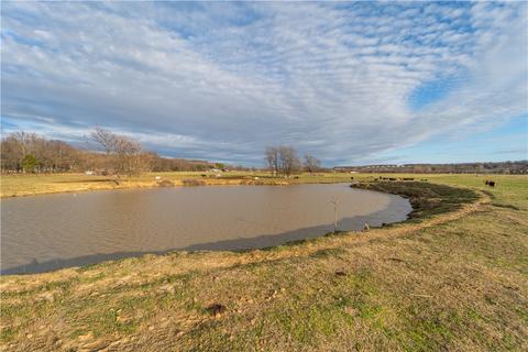 10914 Summers Rd, Summers, AR 72769 photo 13