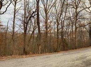 Lot 4 Country Club Drive, Garfield, AR 72732
