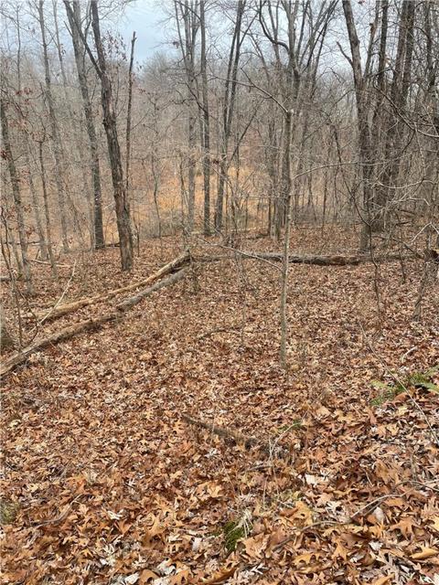 Southam Lane, Bella Vista, AR 72715