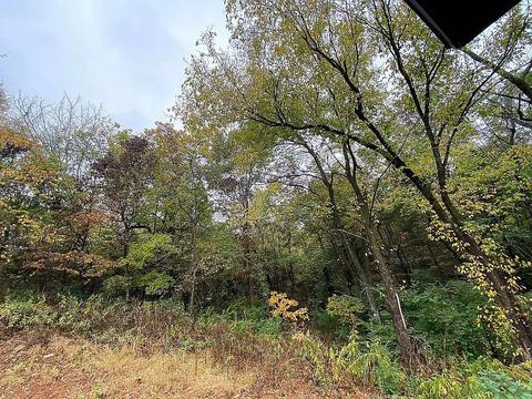 525 Smith St, West Fork, AR 72774 photo 2