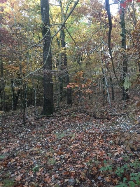 Iffley Lane, Bella Vista, AR 72714